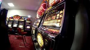555fb bet