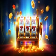 555fb bet