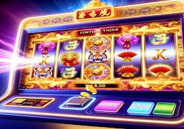 555fb bet